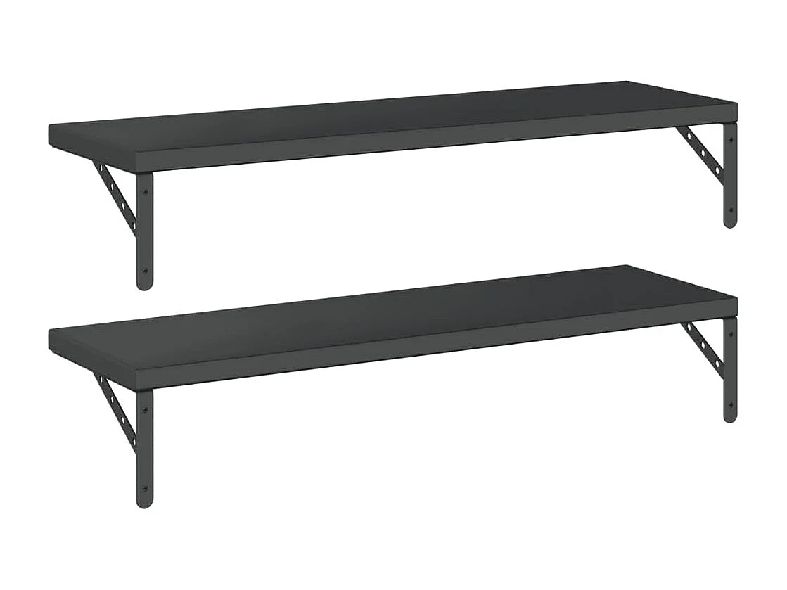 Mensole a Muro 2 pz 100x30 cm Nero in Acciaio Inossidabile
