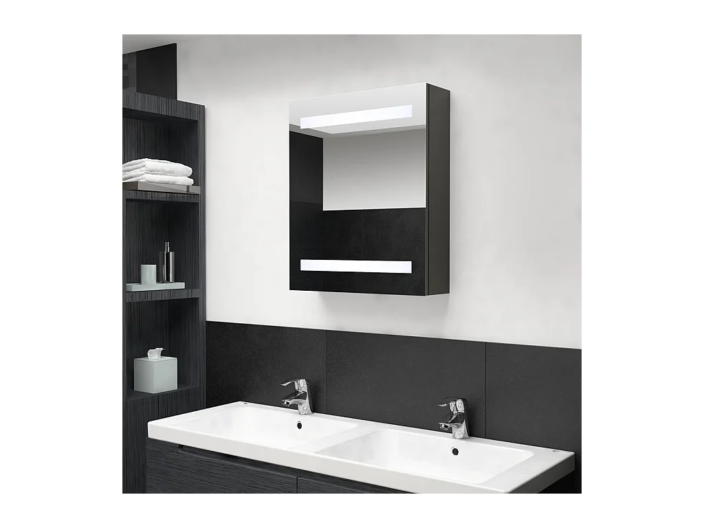 LED-Bad-Spiegelschrank Anthrazit 50x14x60 cm