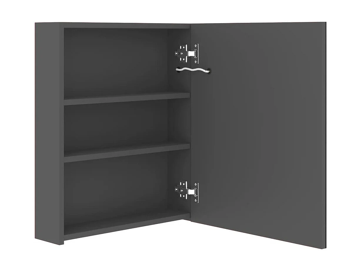 LED-Bad-Spiegelschrank Grau 50x14x60 cm