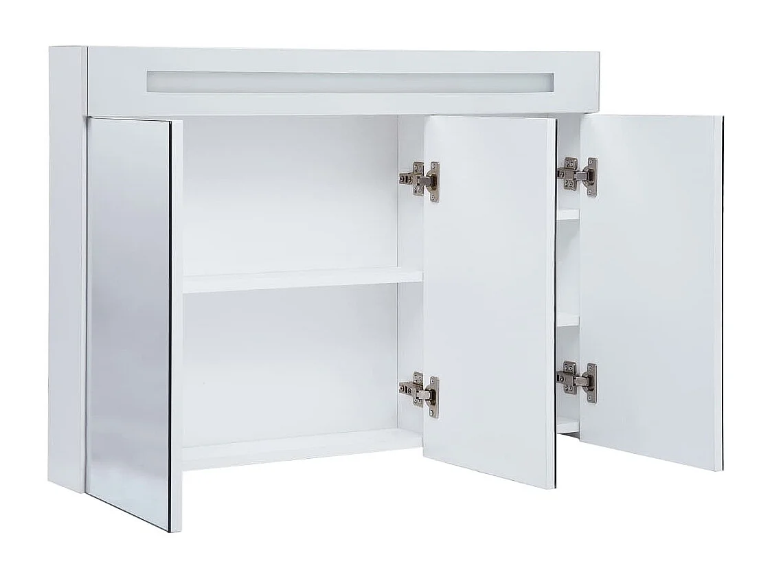 LED-Spiegelschrank 50x13x70 cm