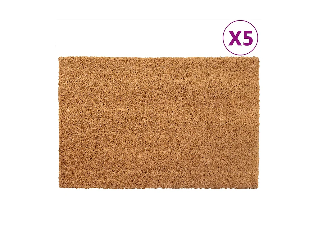 Tapis de porte 5 pcs naturel 40x60 cm fibre de coco touffeté