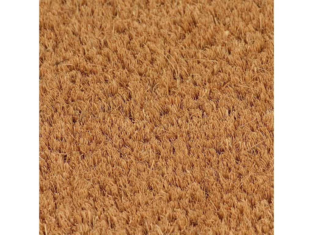Tapis de porte 5 pcs naturel 40x60 cm fibre de coco touffeté