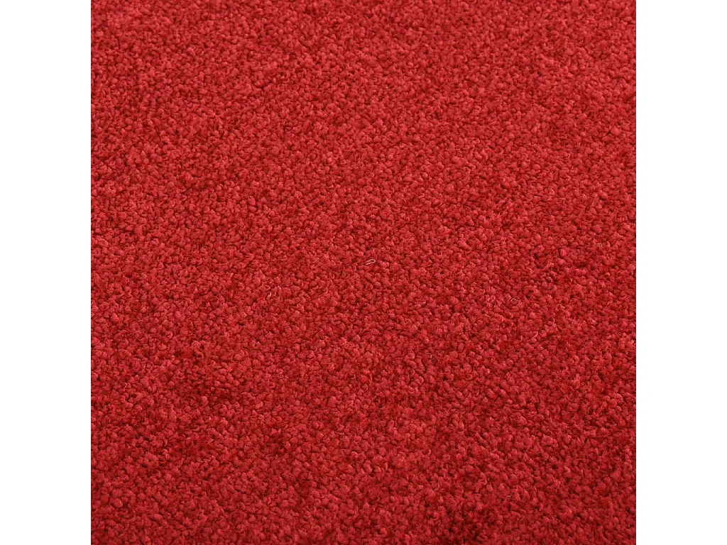 Rode Deurmat 60x80 cm