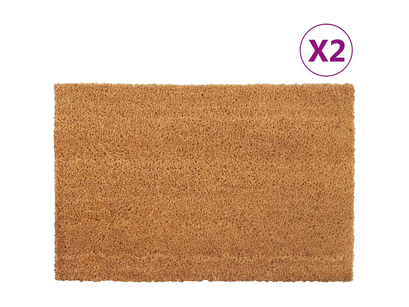 Tapis de porte 2 pcs naturel 40x60 cm fibre de coco touffeté