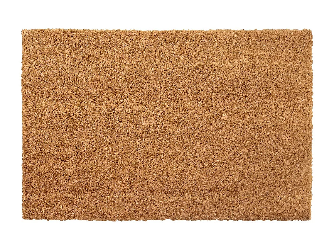 Tapis de porte 2 pcs naturel 40x60 cm fibre de coco touffeté