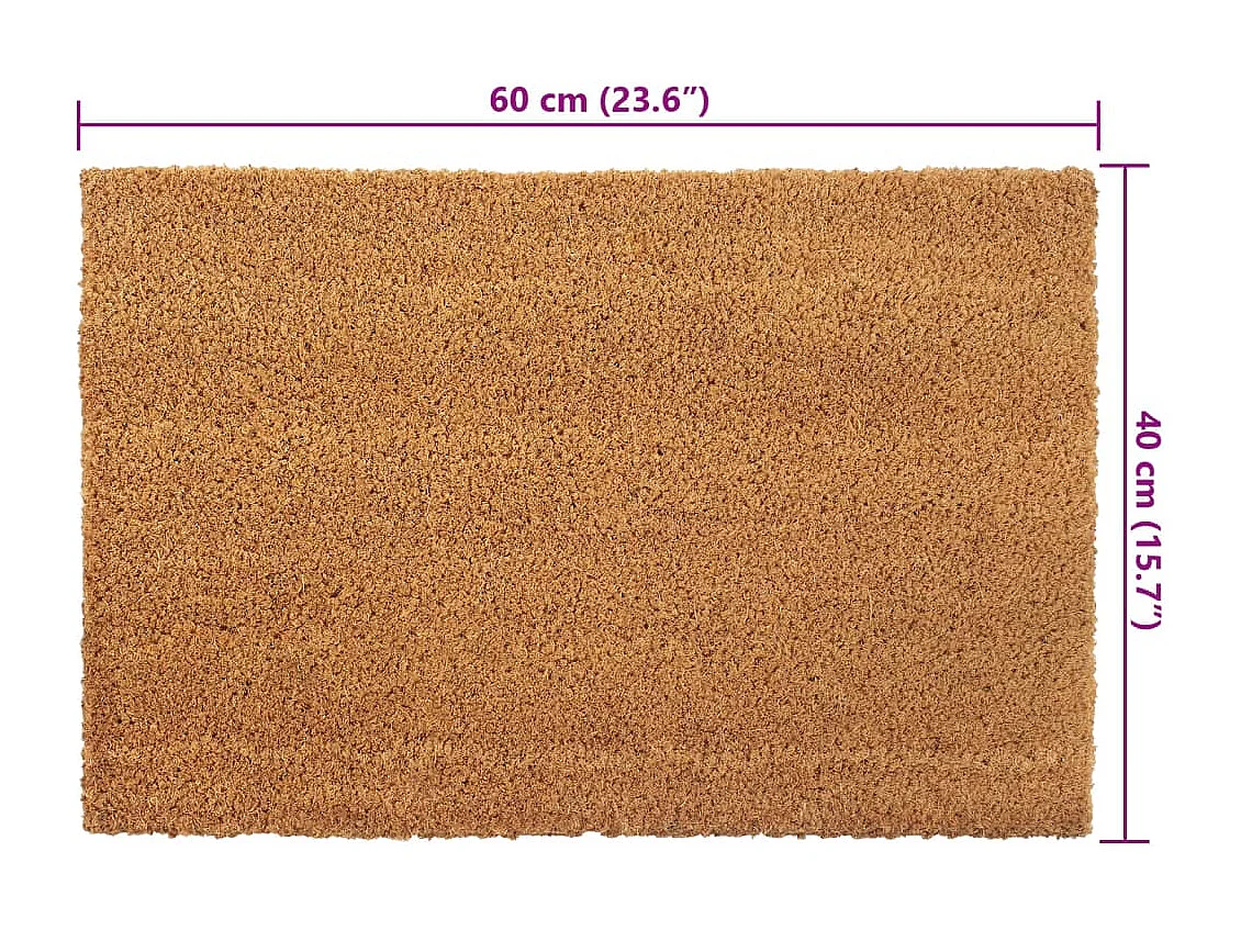 Tapis de porte 2 pcs naturel 40x60 cm fibre de coco touffeté