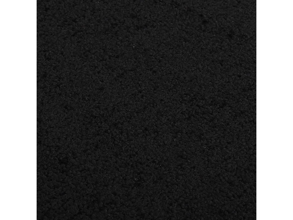 Paillasson Noir 60x80 cm