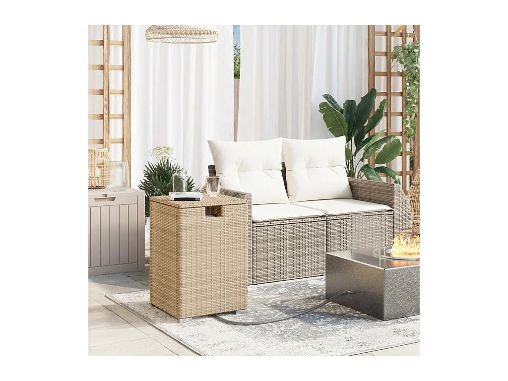 Afdekkast voor propaangasfles 40x40x60 cm Poly Rattan beige
