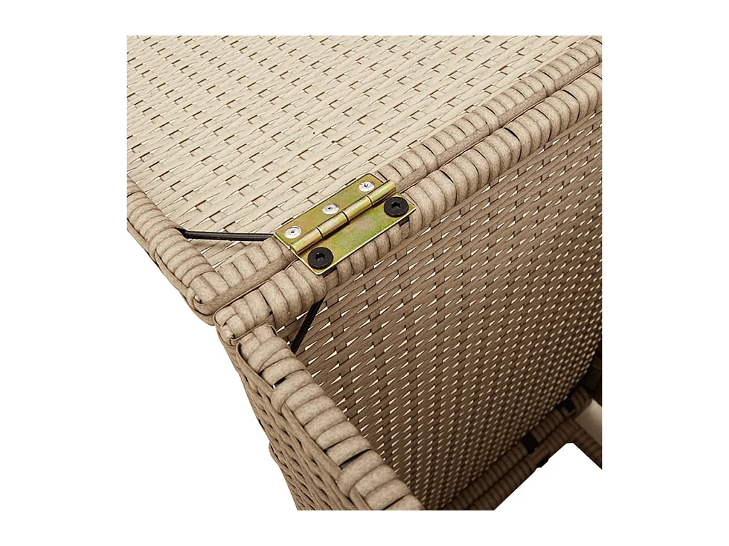 Afdekkast voor propaangasfles 40x40x60 cm Poly Rattan beige