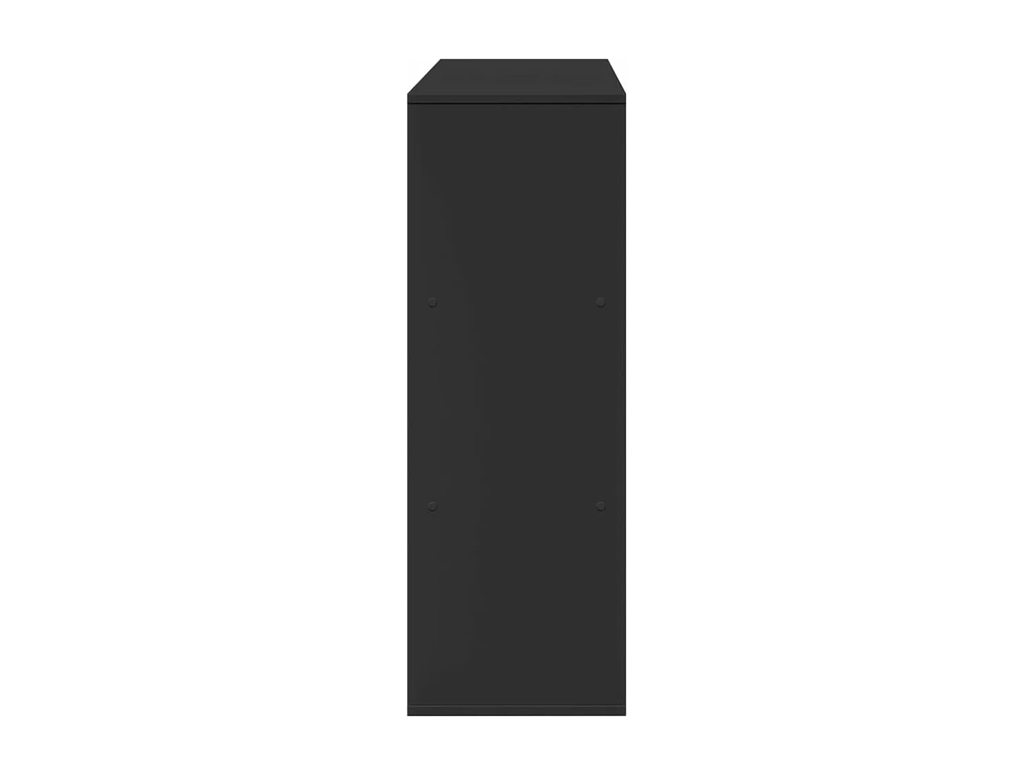 Raumteiler Schwarz 100x33x94,5 cm Holzwerkstoff