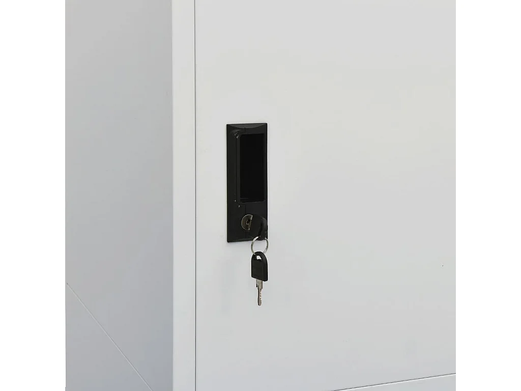 Garde-robe Gris clair 80x50x180 cm Acier