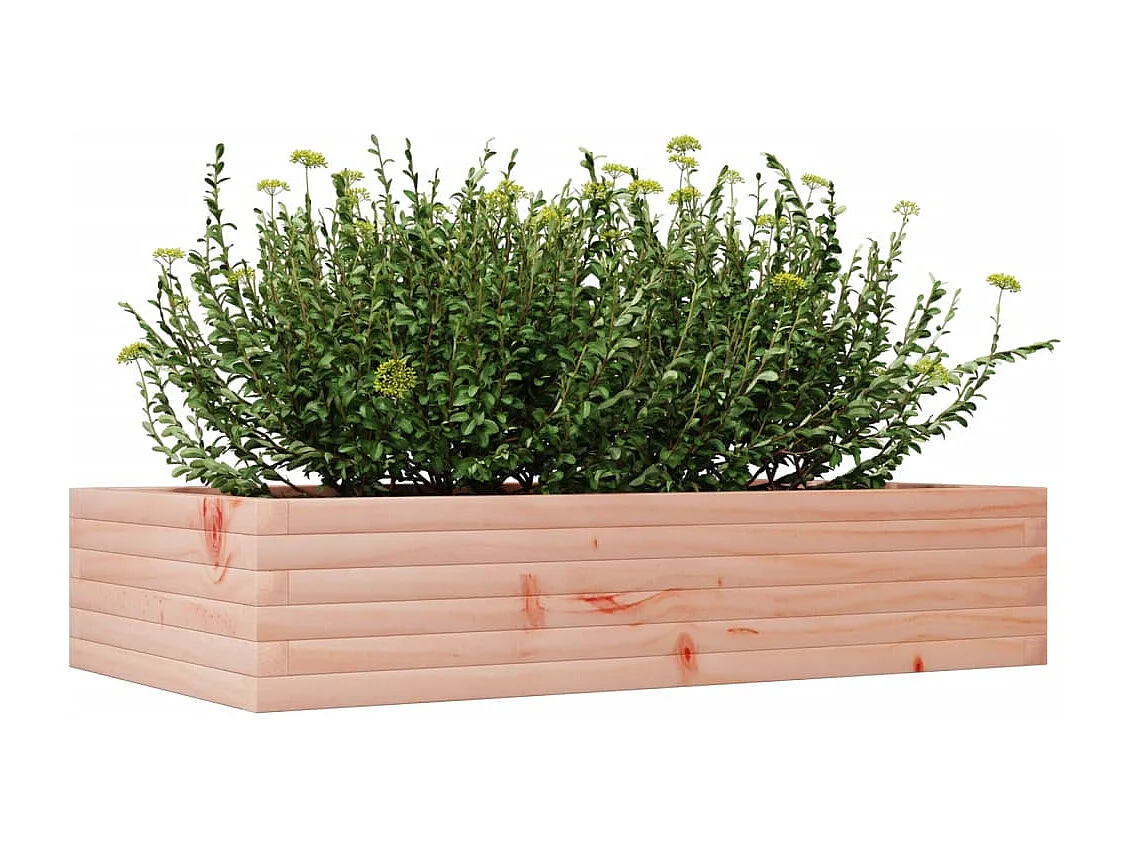 Jardinière 110x60x23 cm bois massif de douglas