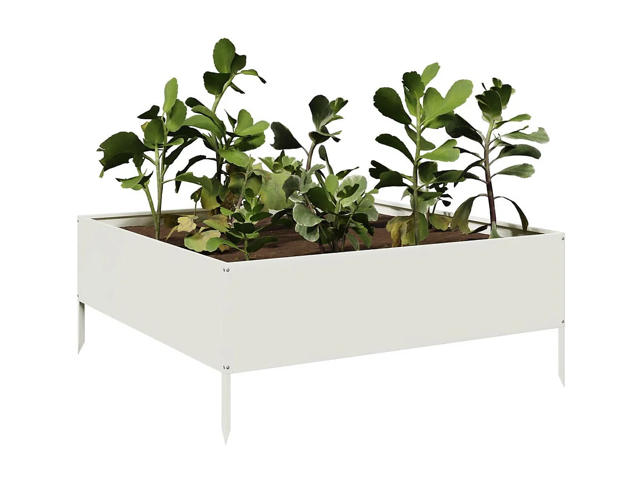 Lit surélevé de jardin blanc 100x100x25 cm acier