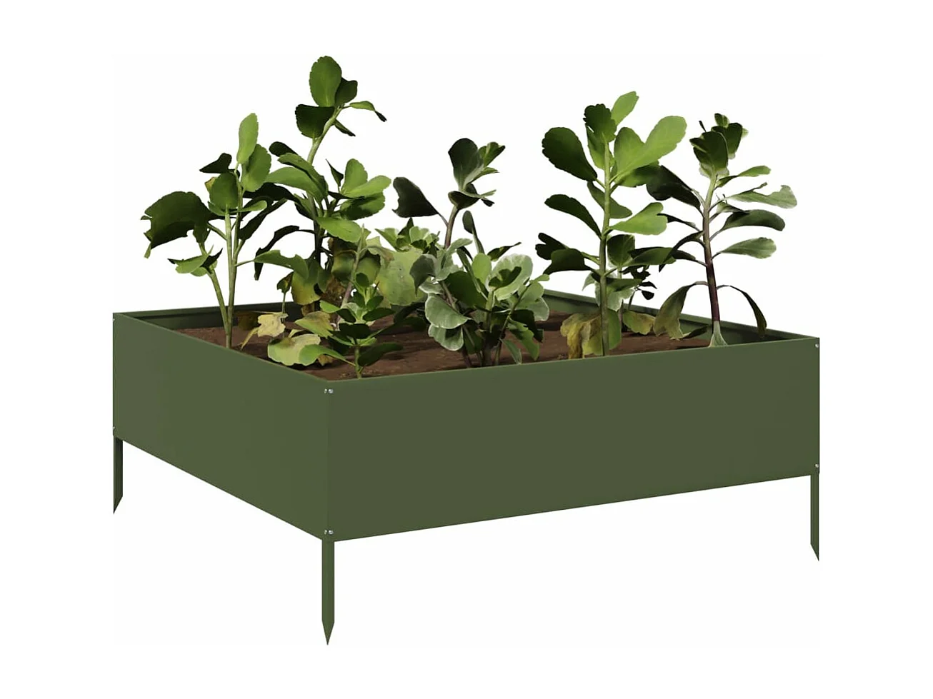 Lit surélevé de jardin vert olive 100x100x25 cm acier