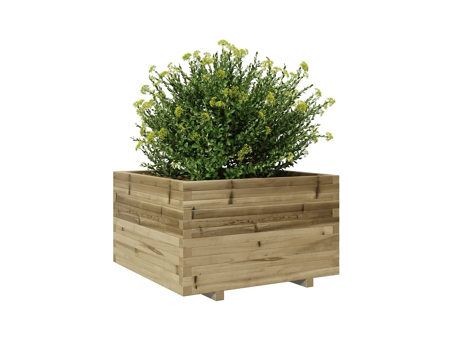 Pflanzkübel 80x80x49,5 cm Kiefernholz Imprägniert