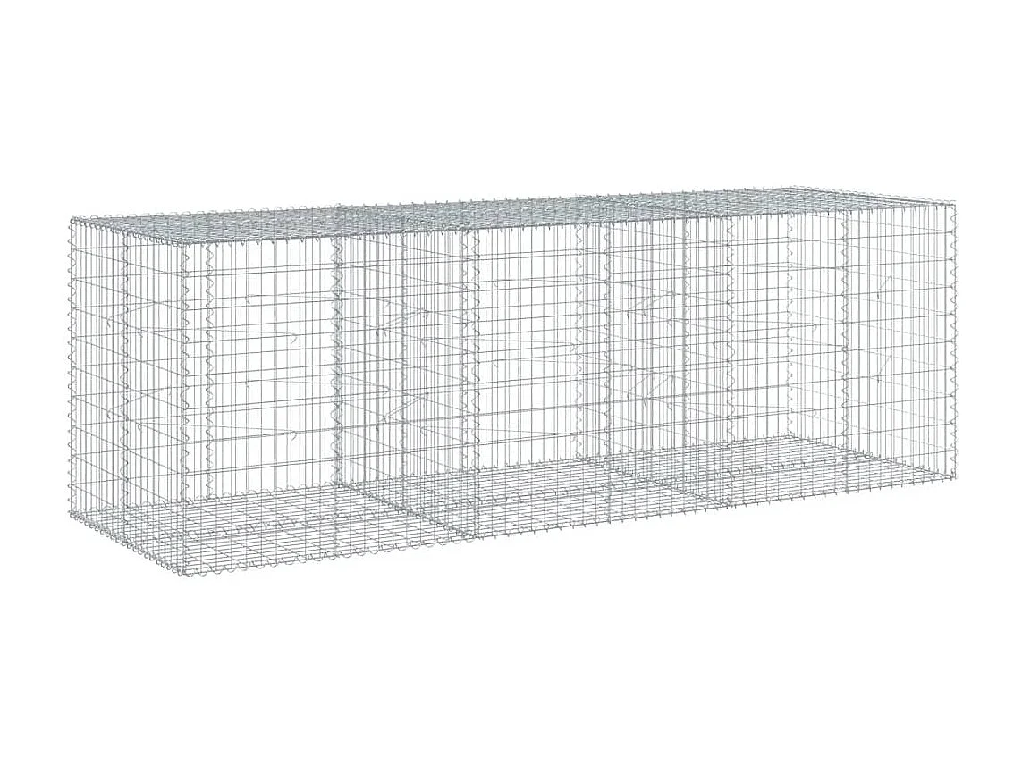 Panier gabion avec couvercle 300x100x100 cm fer galvanisé