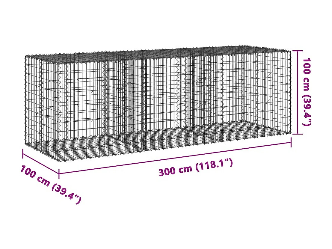 Panier gabion avec couvercle 300x100x100 cm fer galvanisé