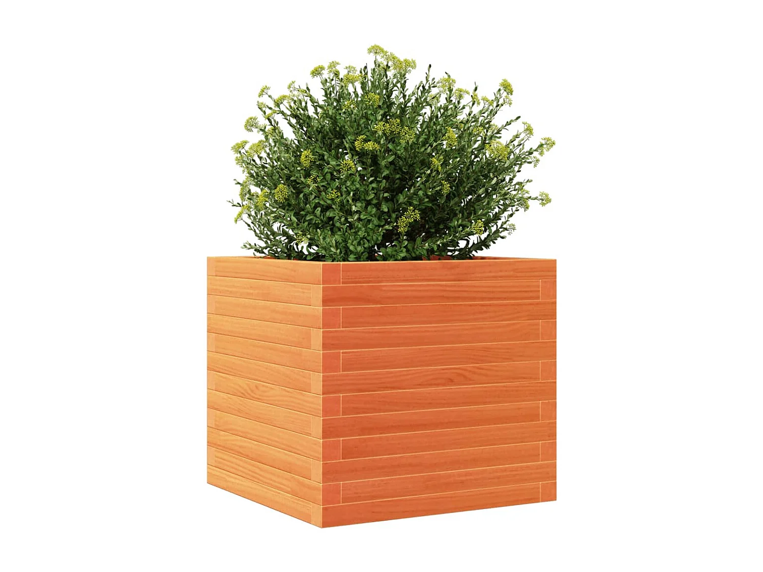 Jardinière cire marron 50x50x46 cm bois de pin massif