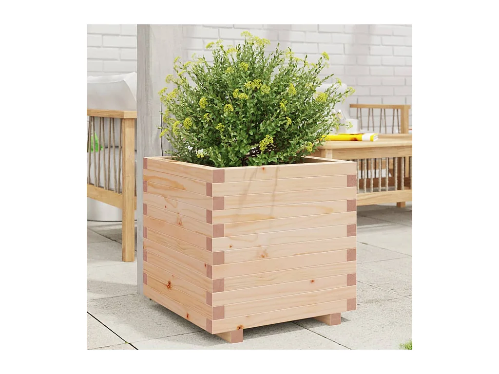 Jardinière 50x50x49,5 cm bois de pin massif