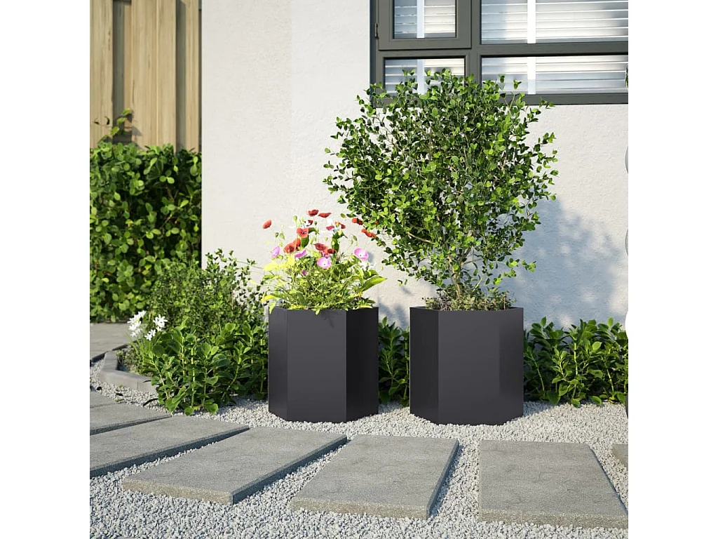 Jardinières 2 pcs noir hexagone 46x40x45 cm acier