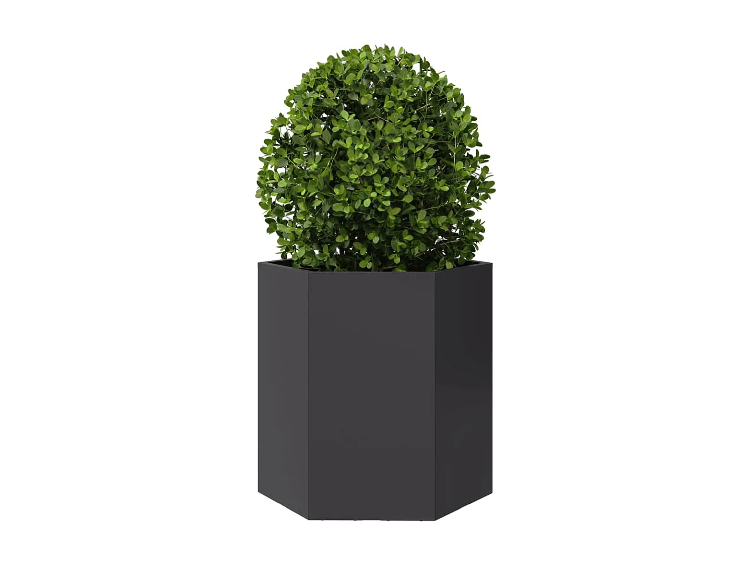 Jardinières 2 pcs noir hexagone 46x40x45 cm acier