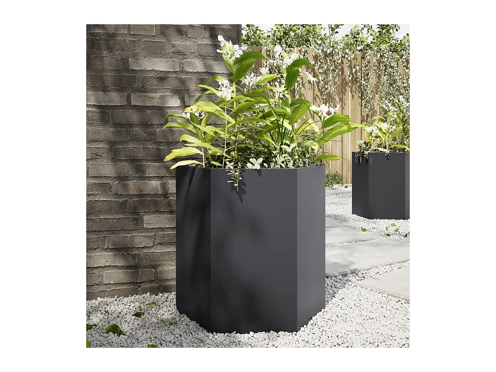 Jardinières 2 pcs noir hexagone 46x40x45 cm acier