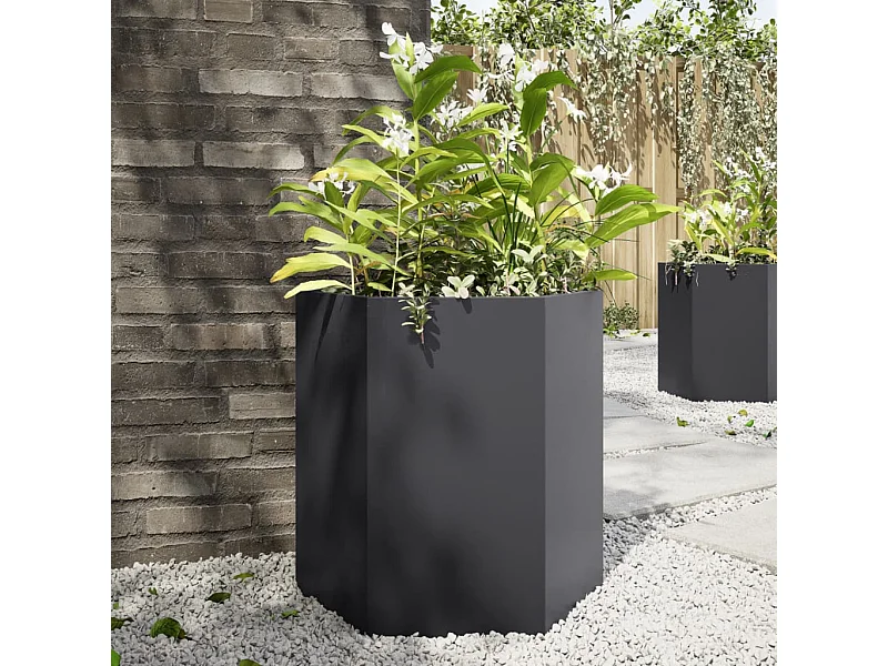 Jardinières 2 pcs noir hexagone 46x40x45 cm acier