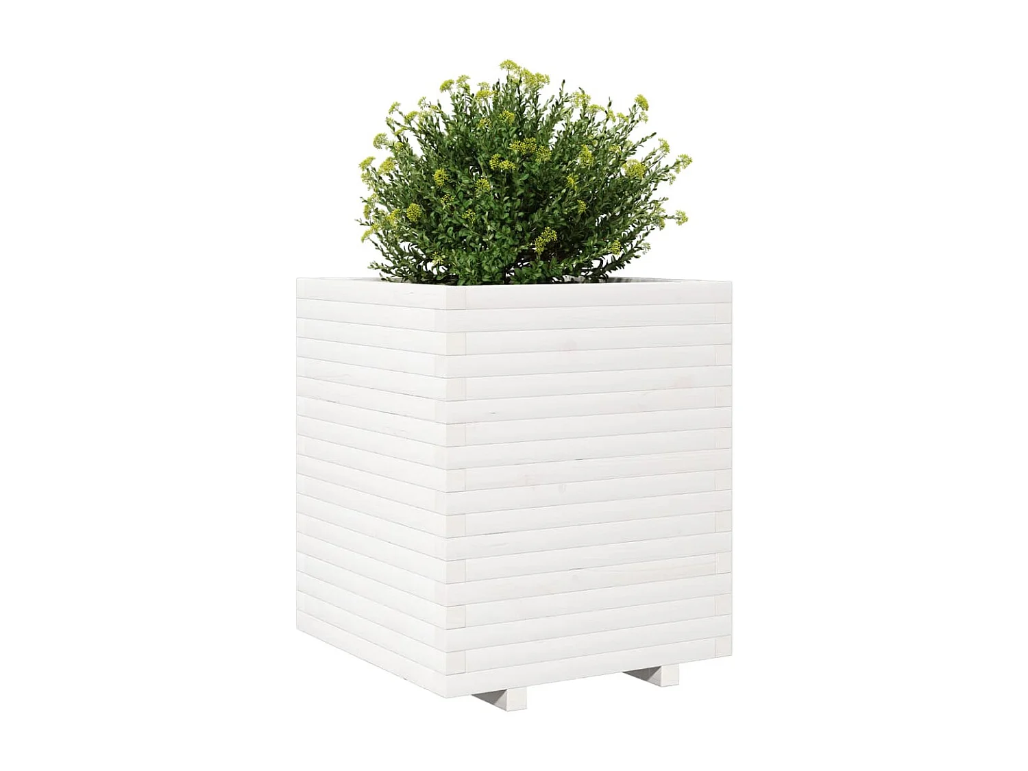 Jardinière blanc 60x60x72 cm bois de pin massif