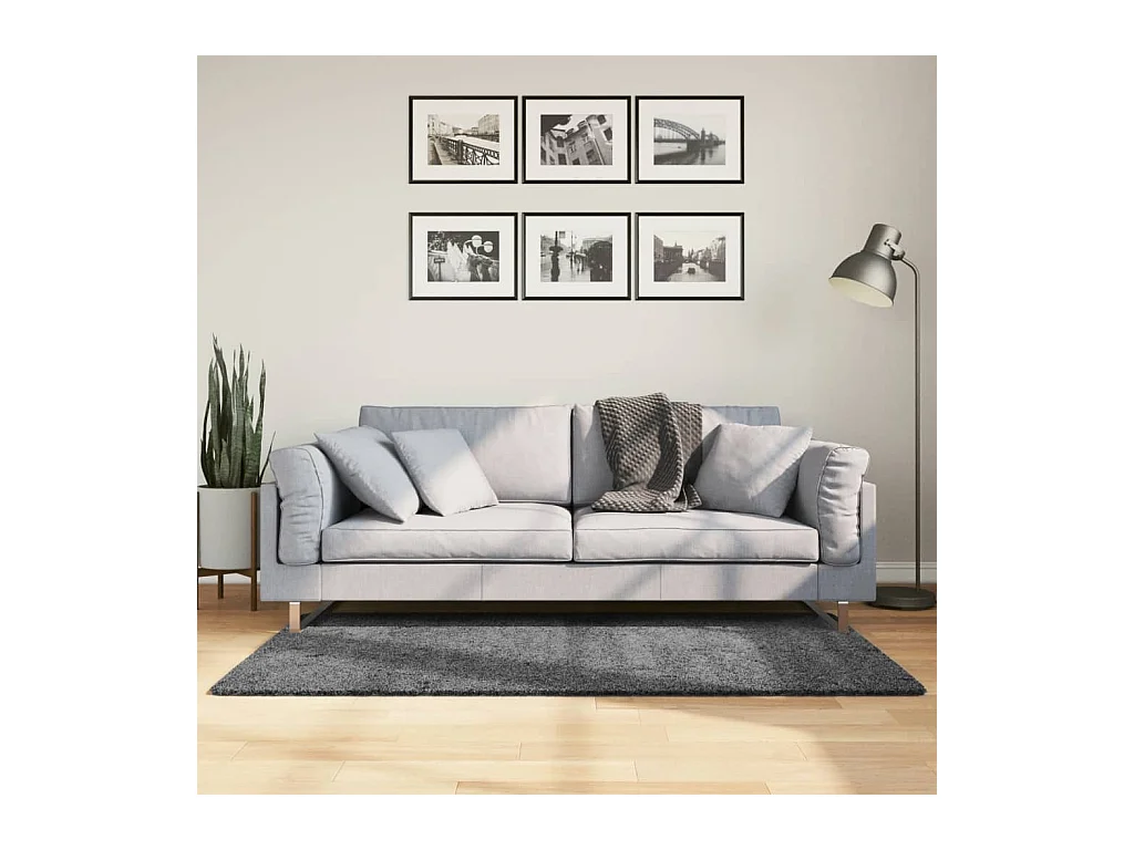 Tapis OVIEDO à poils courts anthracite 120x170 cm