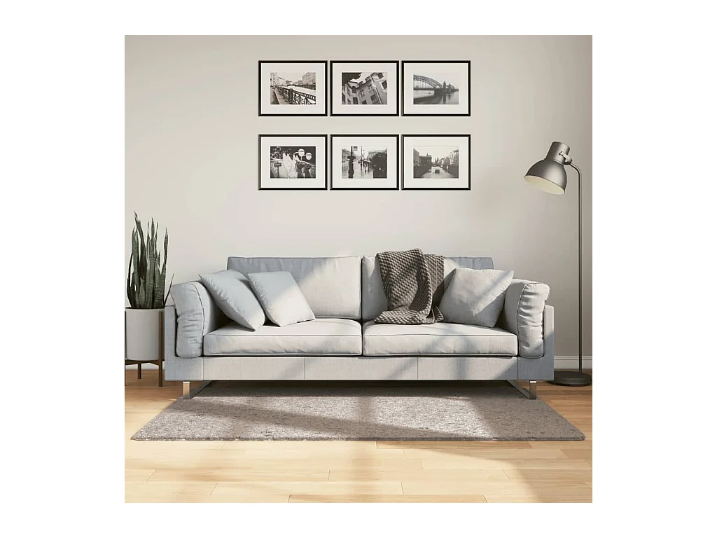 Vloerkleed PAMPLONA shaggy hoogpolig modern 80x150 cm beige