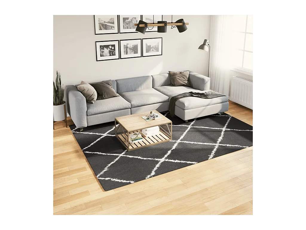 Tappeto Shaggy PAMPLONA a Pelo Lungo Nero e Crema 200x280 cm