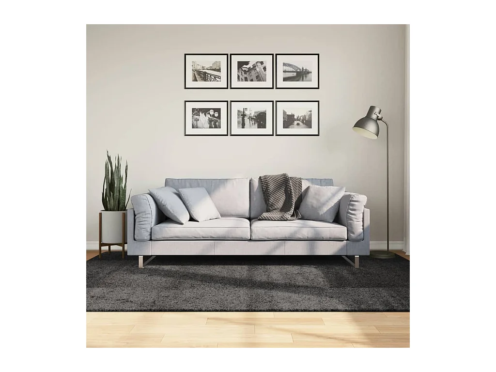 Teppich Shaggy Hochflor Modern Anthrazit 160x230 cm