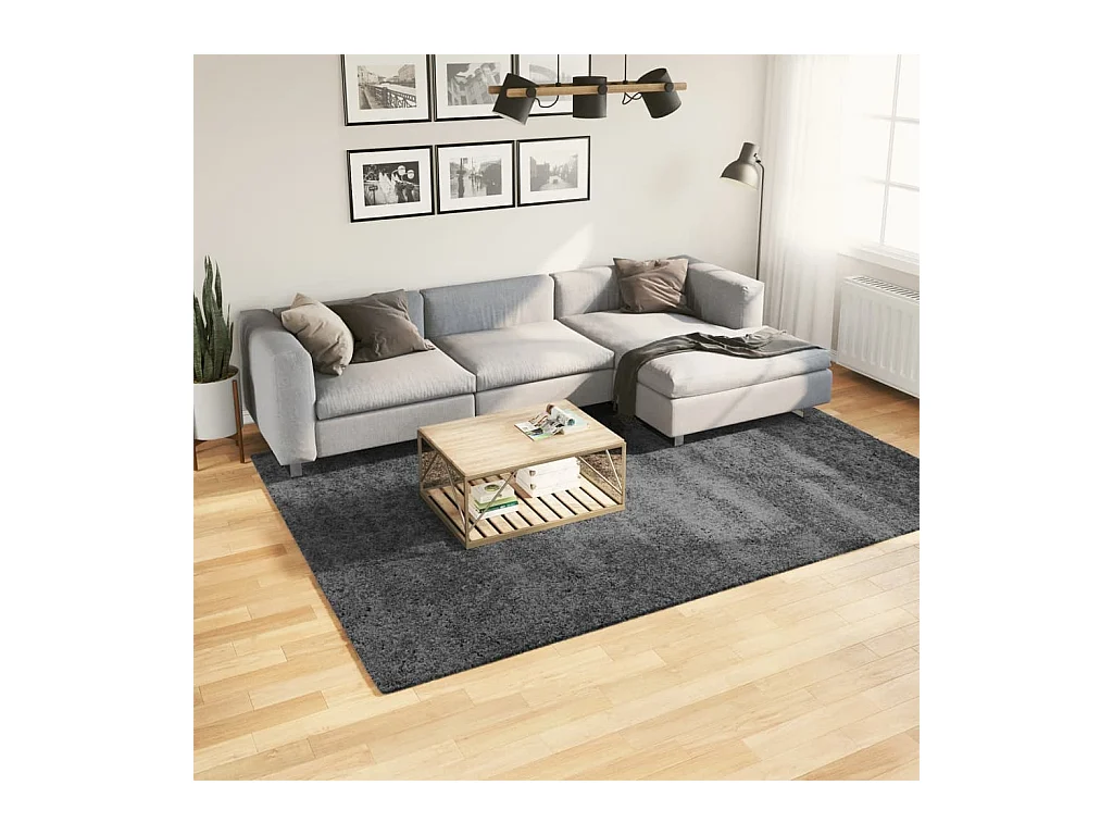 Tapis OVIEDO à poils courts anthracite 200x280 cm
