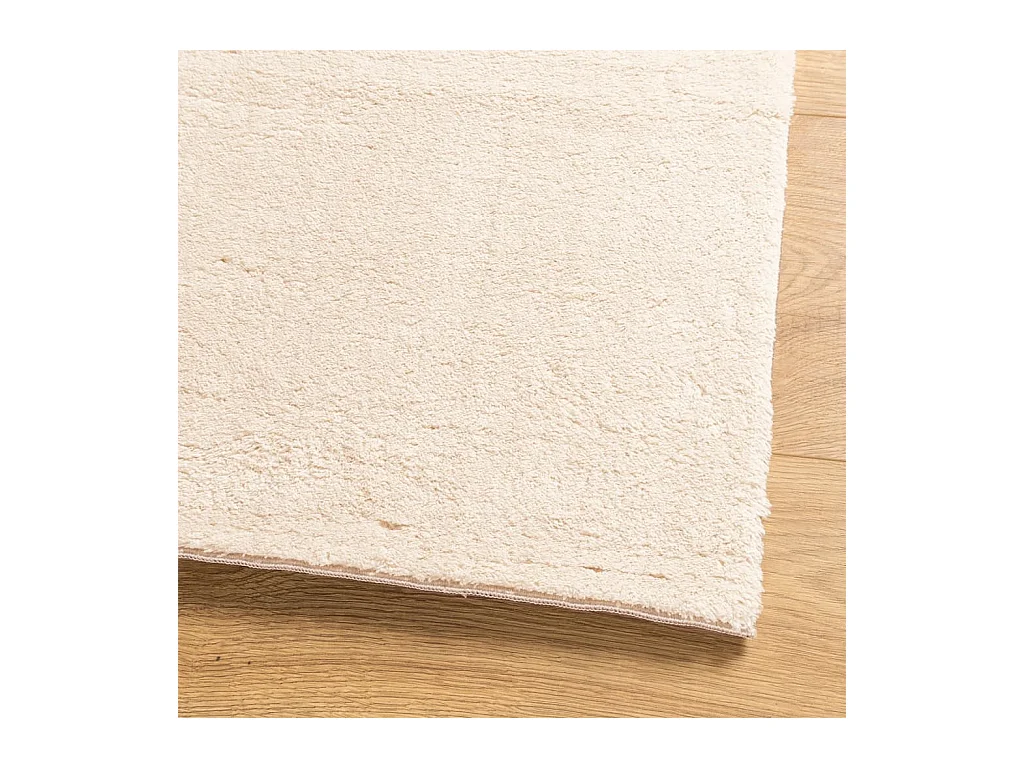 Teppich HUARTE Kurzflor Weich und Waschbar Beige 80x200 cm