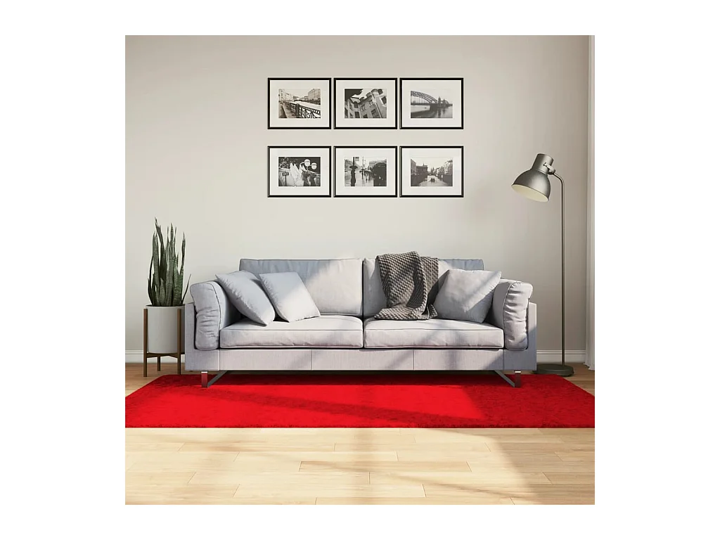 Vloerkleed OVIEDO laagpolig 100x200 cm rood