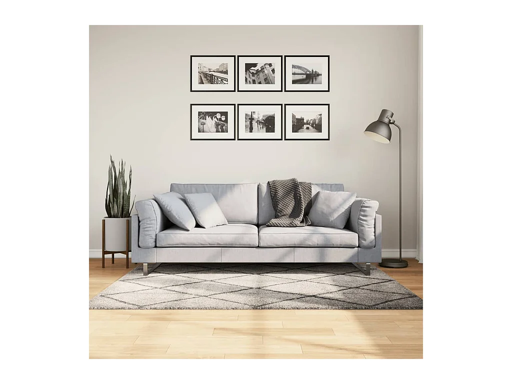Tappeto Shaggy PAMPLONA Pelo Lungo Beige e Antracite 120x170 cm