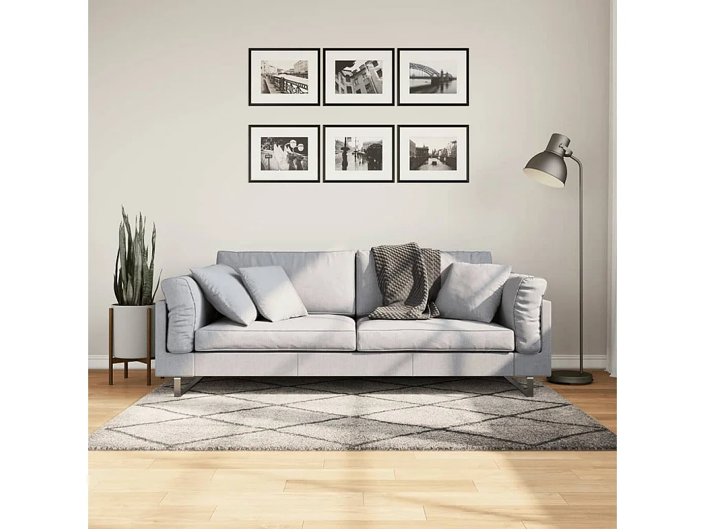 Tappeto Shaggy PAMPLONA Pelo Lungo Beige e Antracite 120x170 cm