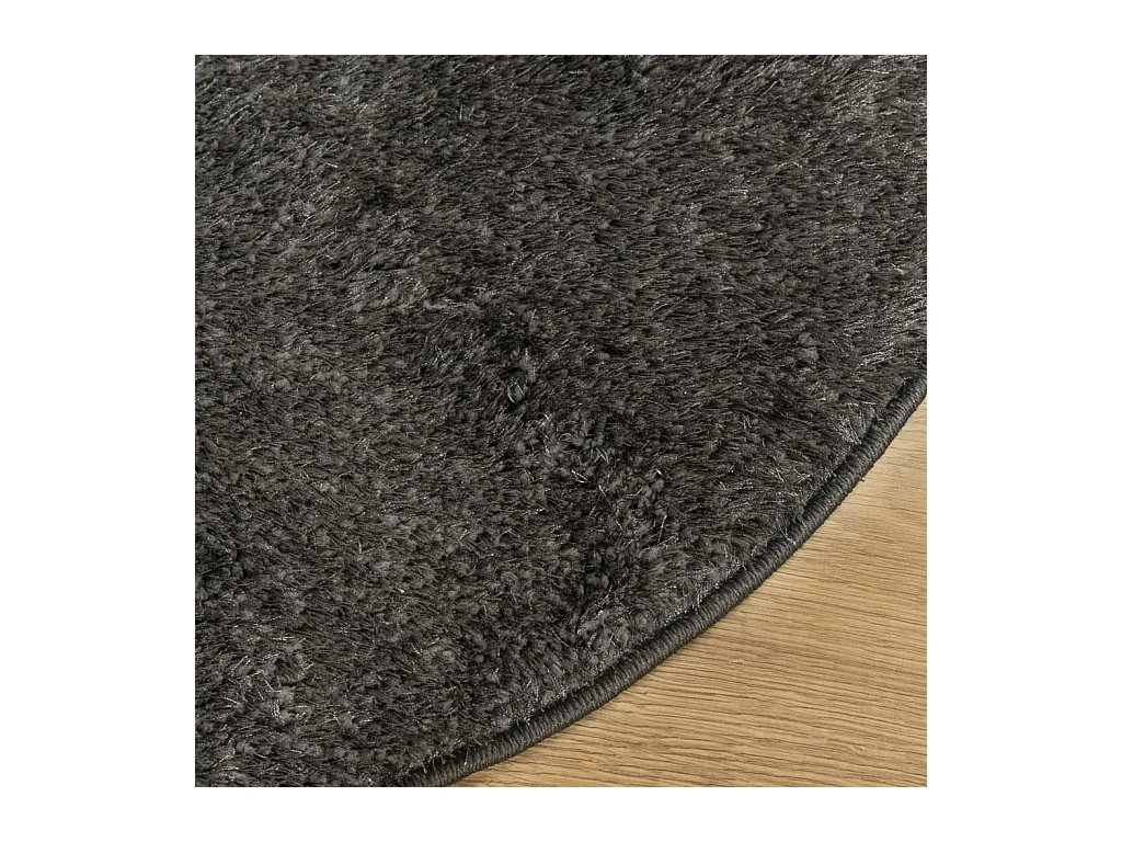 Tapis ISTAN à poils longs aspect brillant anthracite Ø 160 cm