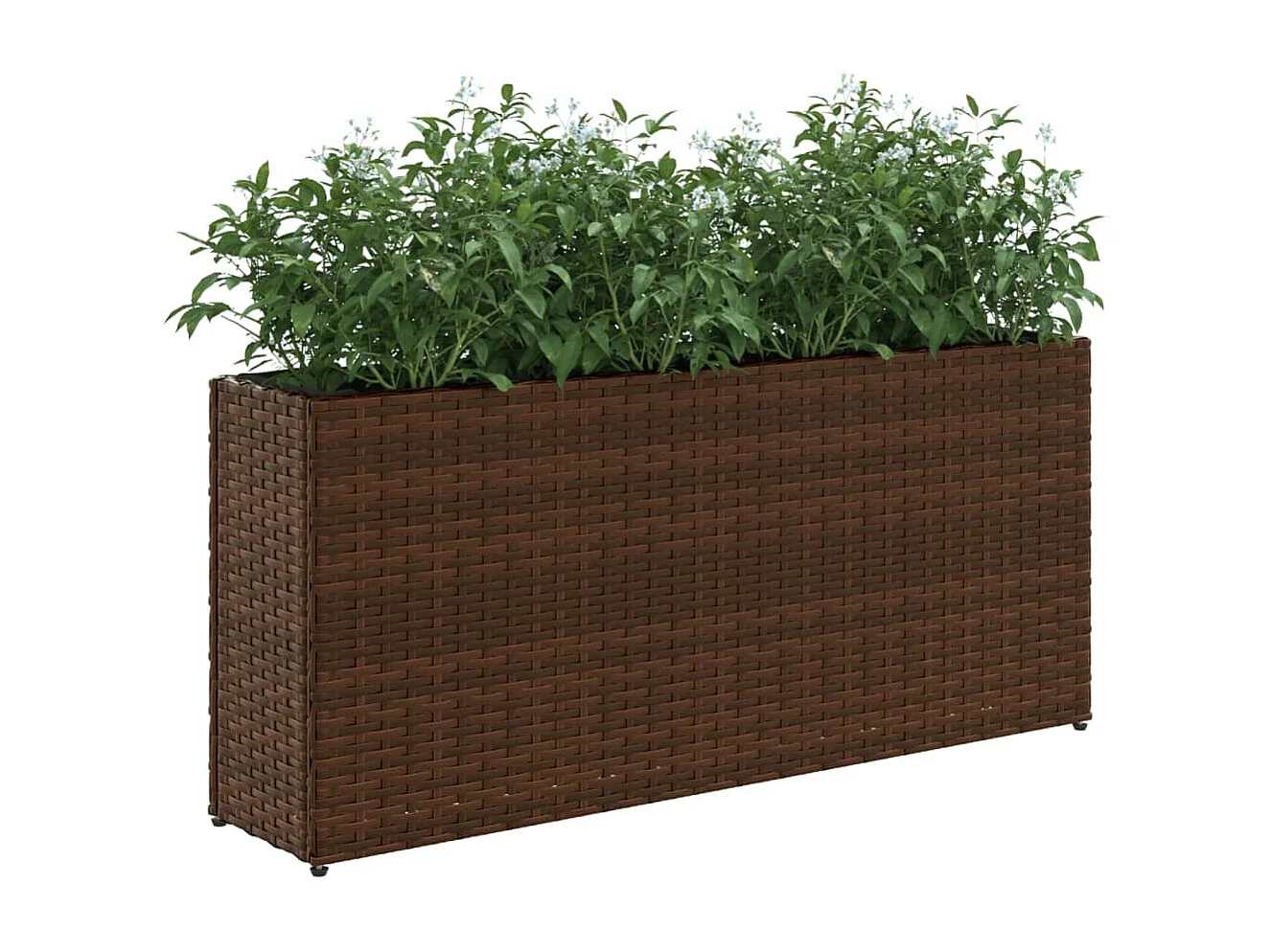 Hochbeet mit 2 Fächern Braun 90x20x40 cm Poly Rattan