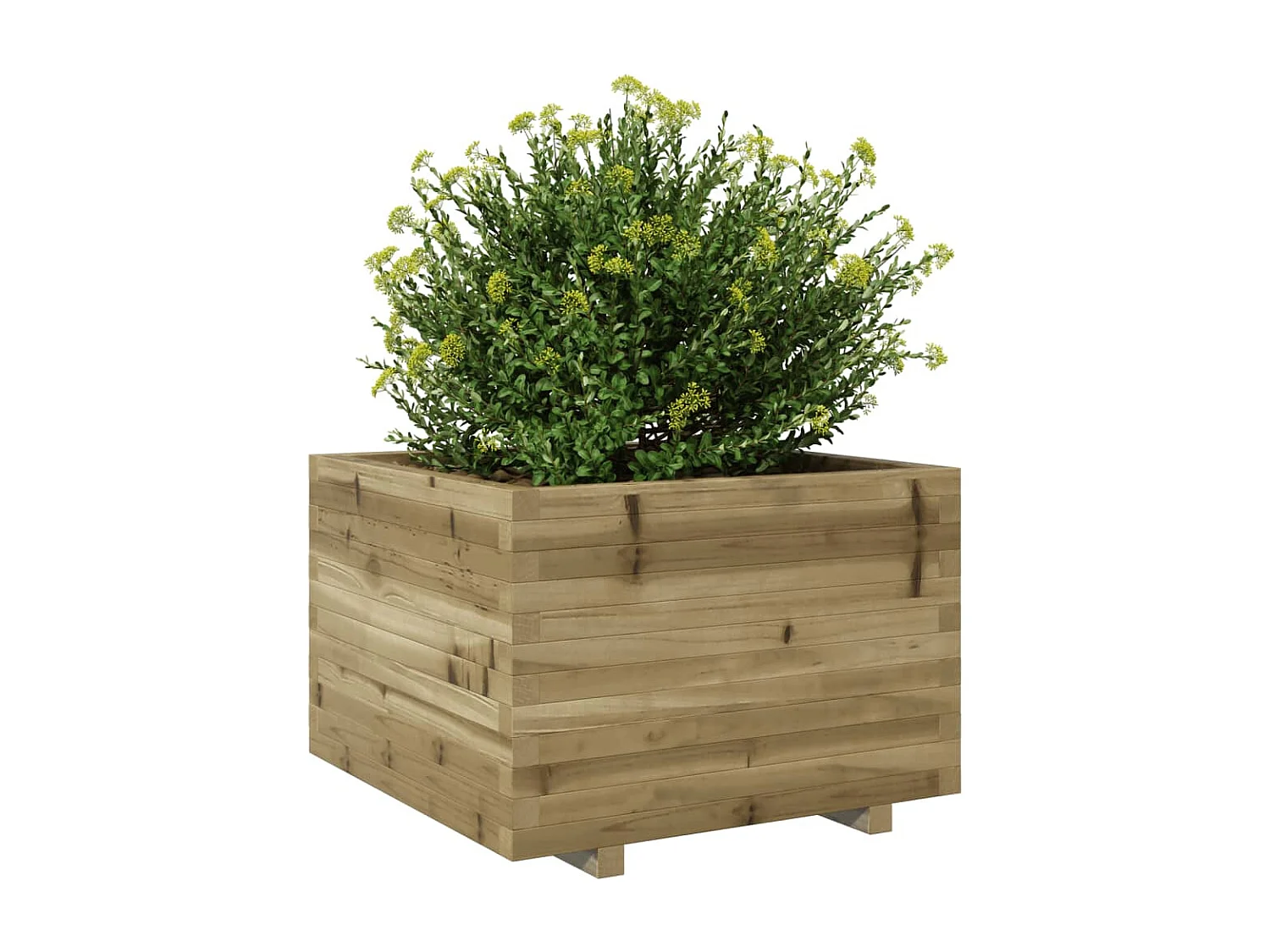 Pflanzkübel 70x70x49,5 cm Kiefernholz Imprägniert