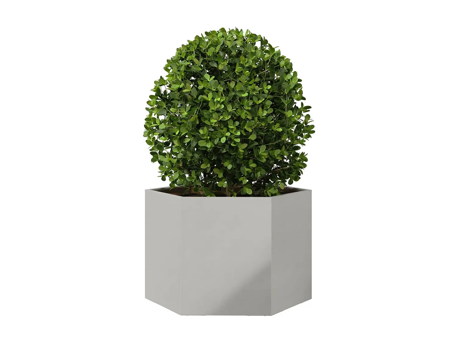 Jardinière hexagone 69x60x45 cm acier inoxydable