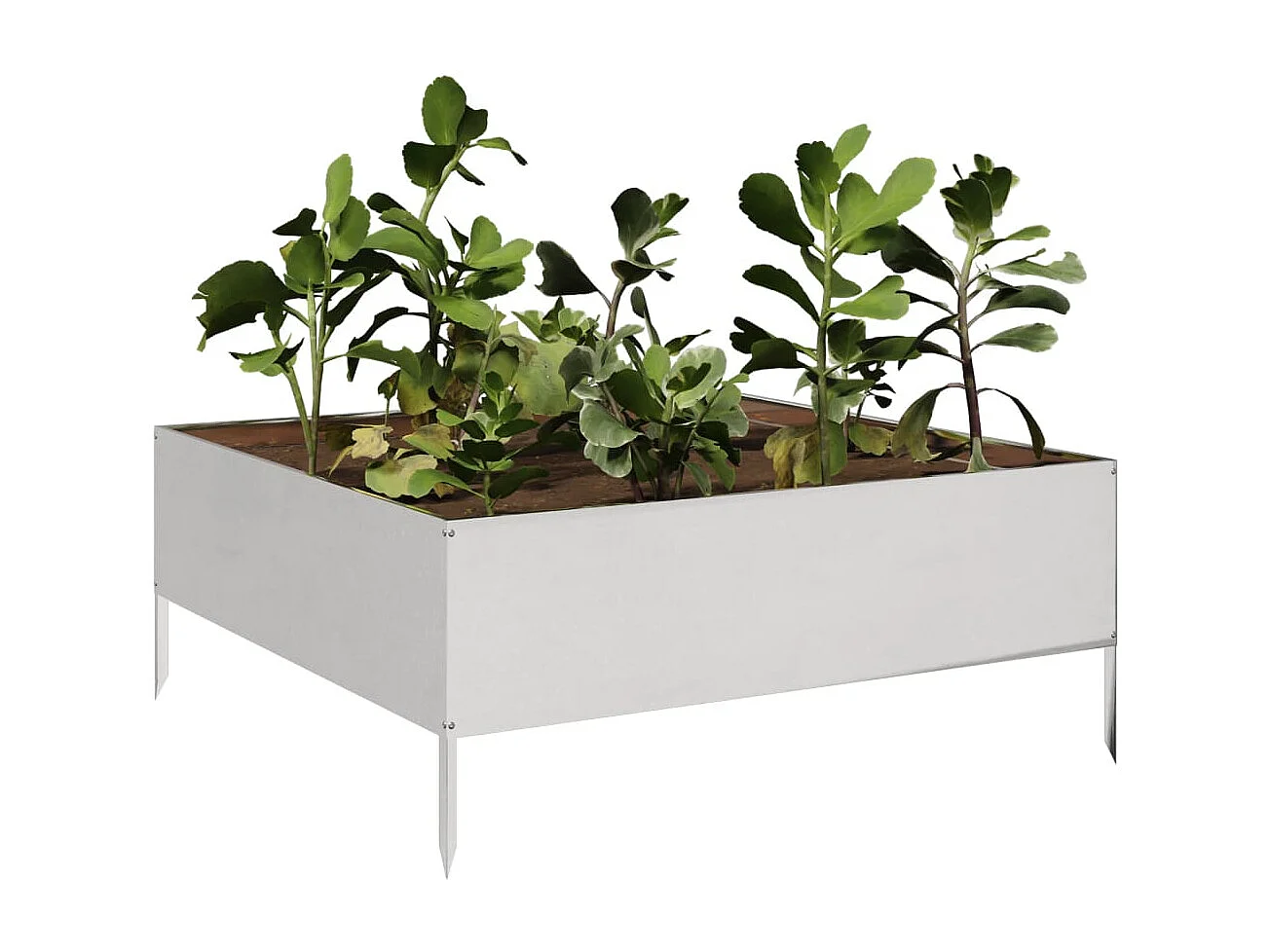 Hochbeet 100x100x25 cm Edelstahl