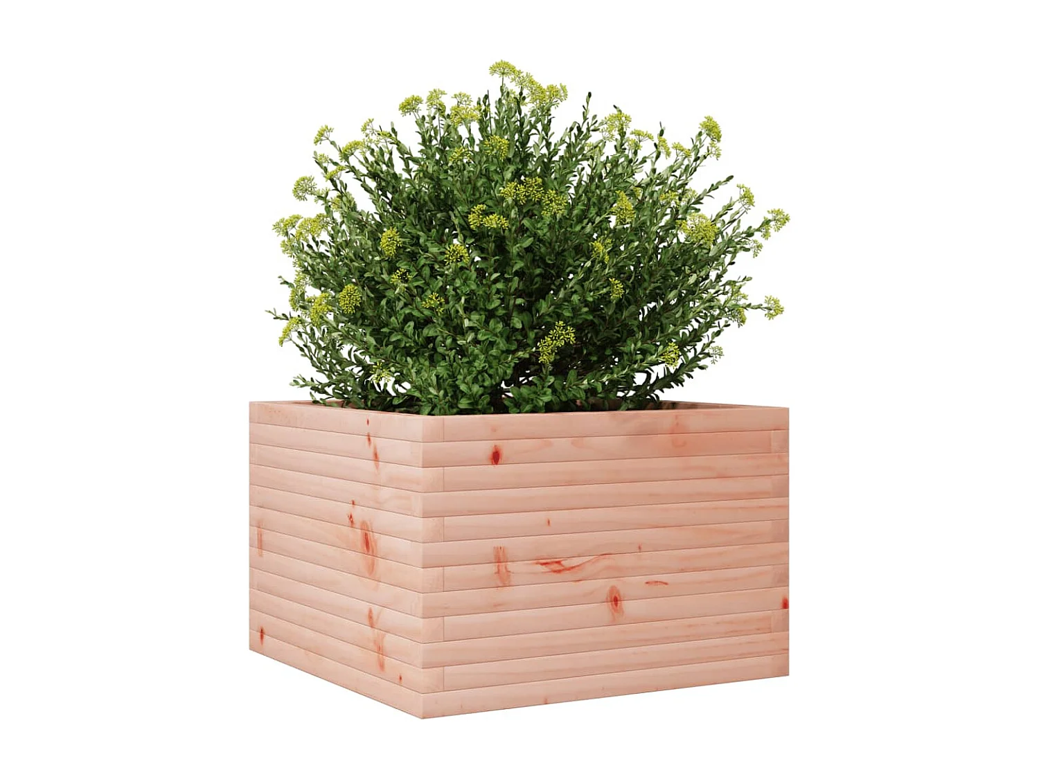 Pflanzkübel 70x70x45,5 cm Massivholz Douglasie