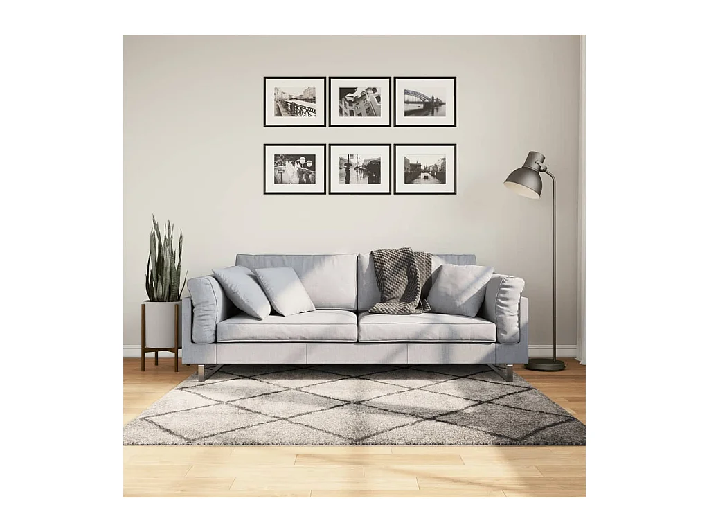 Tapis shaggy à poils longs moderne beige anthracite 160x160 cm