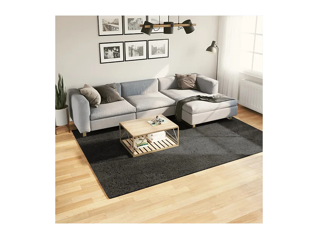 Tapis ISTAN à poils longs aspect brillant anthracite 200x280 cm