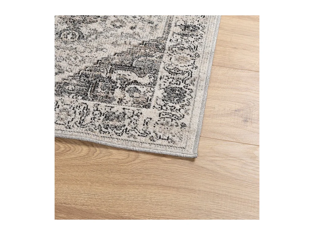 Tapis ARBIZU intérieur extérieur design vintage 80x150 cm