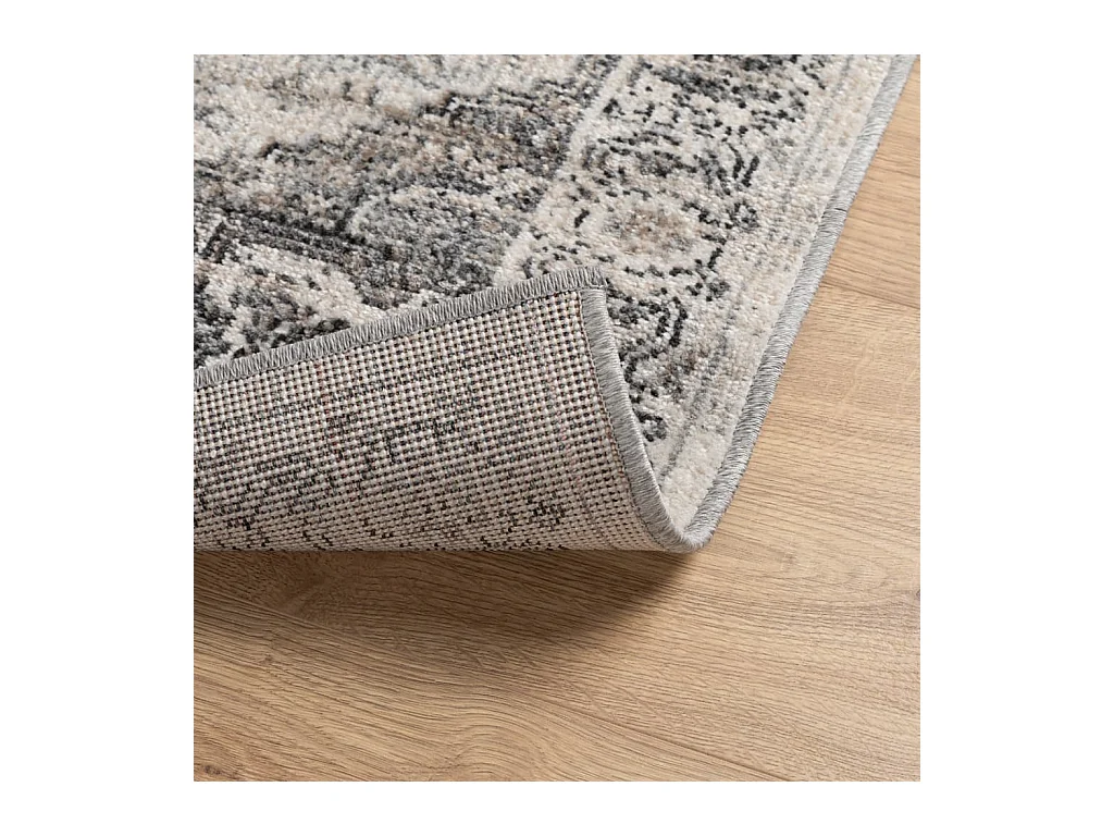 Tapis ARBIZU intérieur extérieur design vintage 80x150 cm