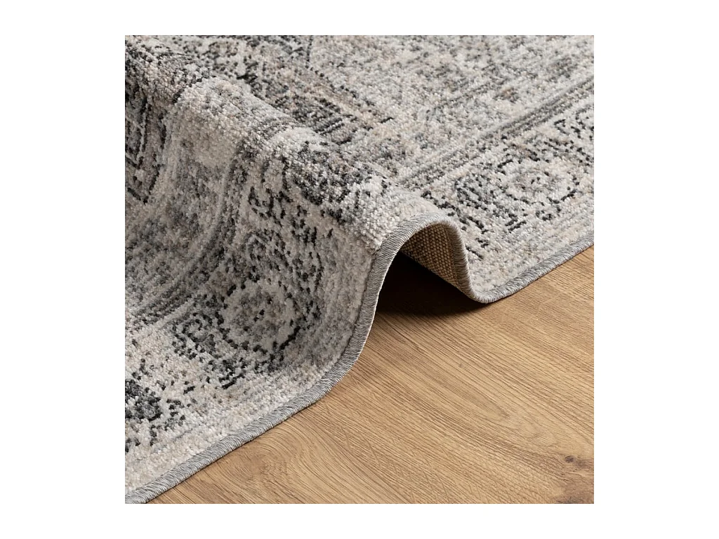 Tapis ARBIZU intérieur extérieur design vintage 80x150 cm