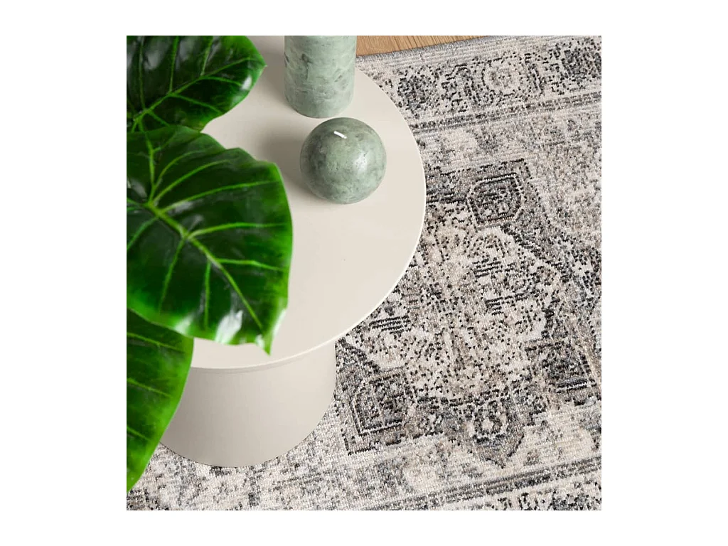 Tapis ARBIZU intérieur extérieur design vintage 80x150 cm