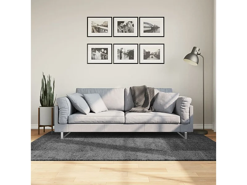 Tapis OVIEDO à poils courts anthracite 140x200 cm